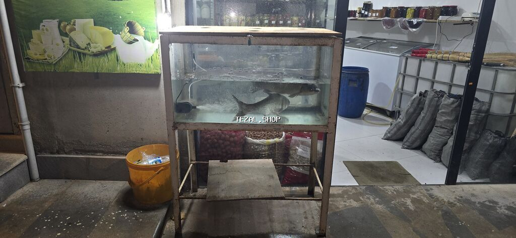 Baliq satişi üçün nəzərdə tutulu. Hündürlüyü 120sm eni 50sm uzunlugu