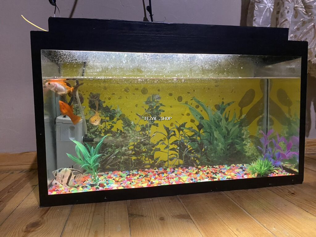 Akvaryum seti - Şüşə akvaryum, qara çərçivə ilə, düzbucaqlı forma - şəkil 2