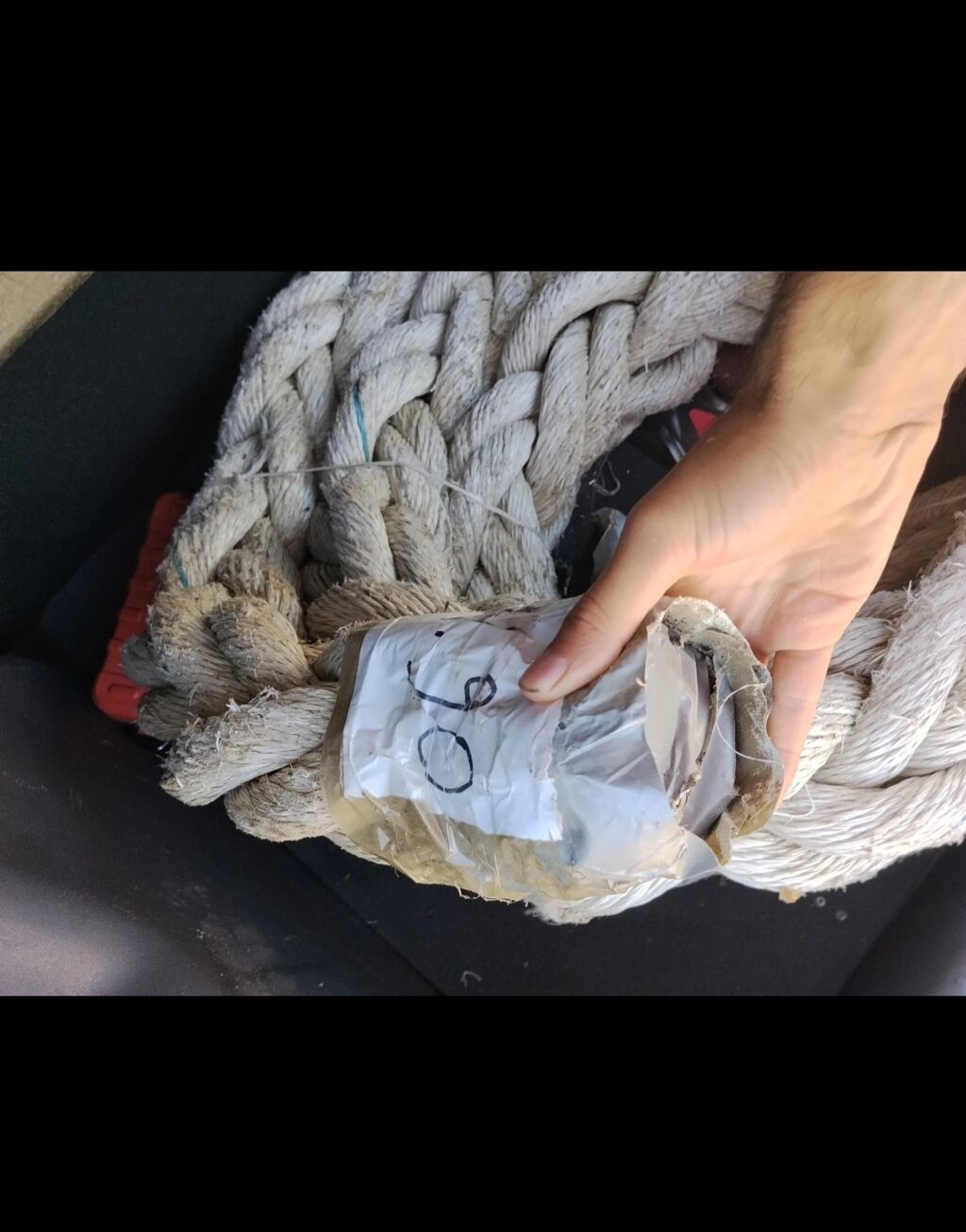 Tranpilin ipi yola atmaga ip wp yazn