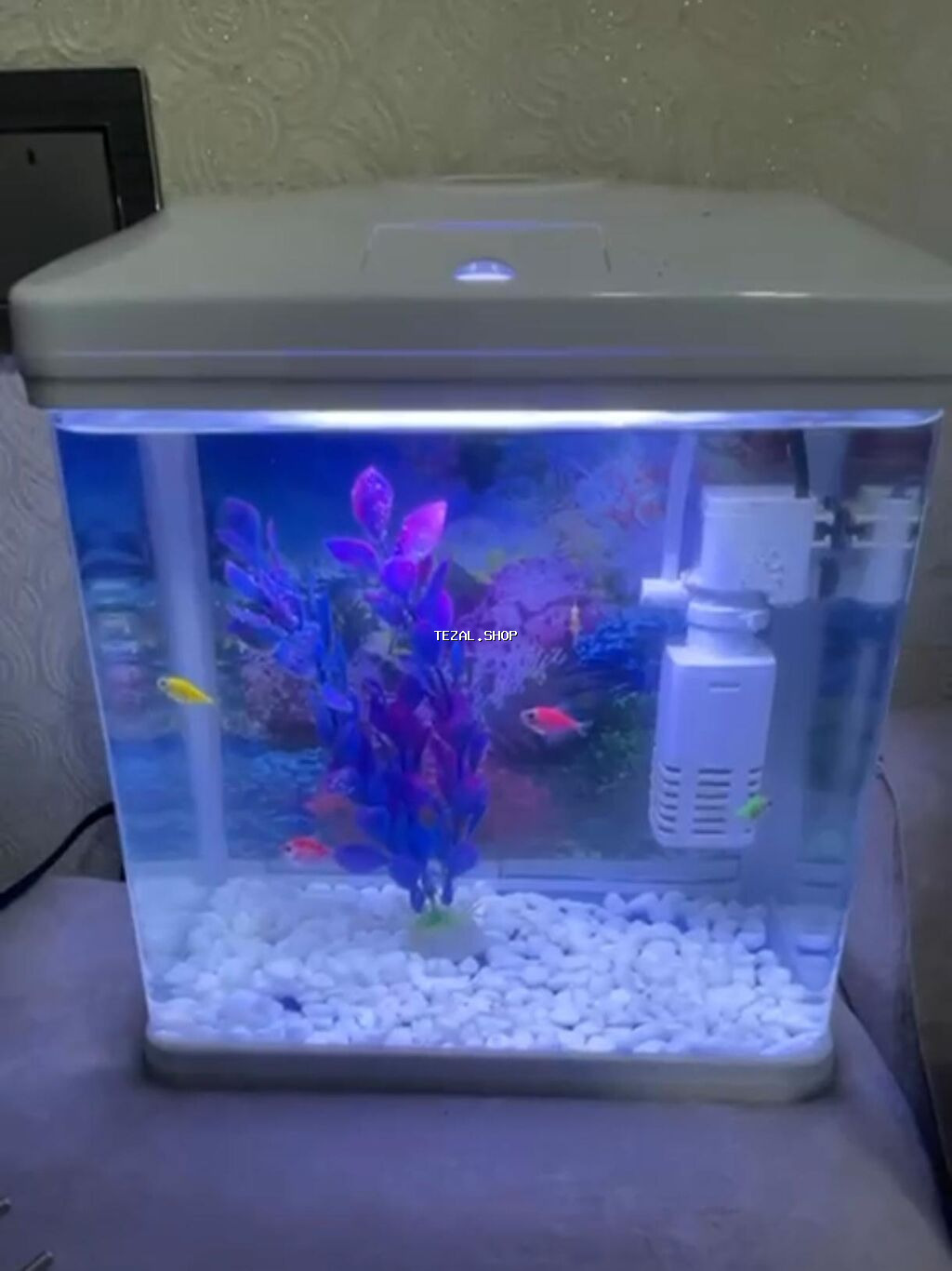 Akvarium+4 balı+icinin su tenzimleyicisi+işığı+daşları ve bezekleri