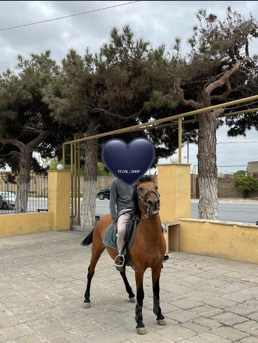 5 yaş1.48 boy real alıcılara endirim edəcəm