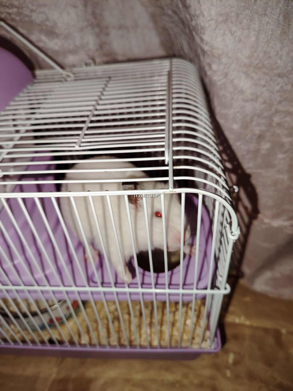 Mənə hədiyyə olunub sadəcə dərslərlə bağlı yaxşı baxa