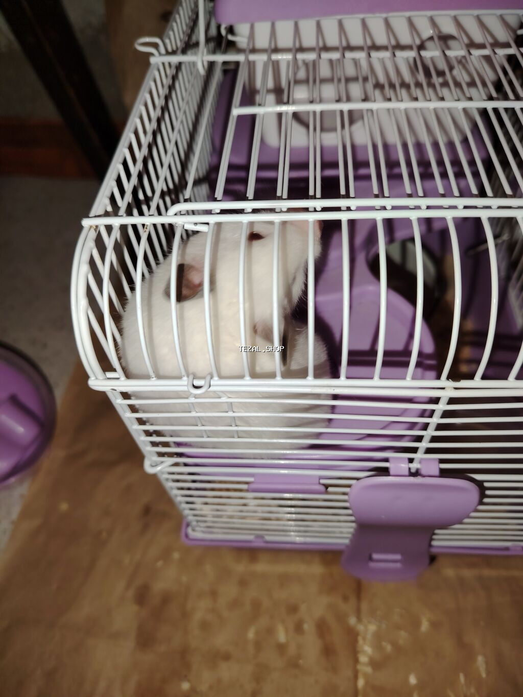 Mənə hədiyyə olunub sadəcə dərslərlə bağlı yaxşı baxa - şəkil 3