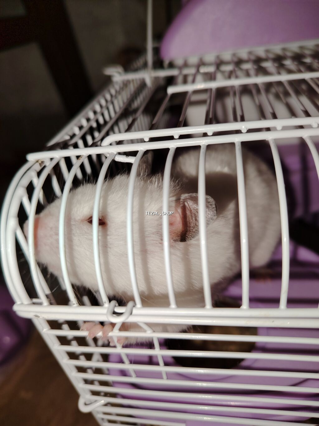 Mənə hədiyyə olunub sadəcə dərslərlə bağlı yaxşı baxa - şəkil 4