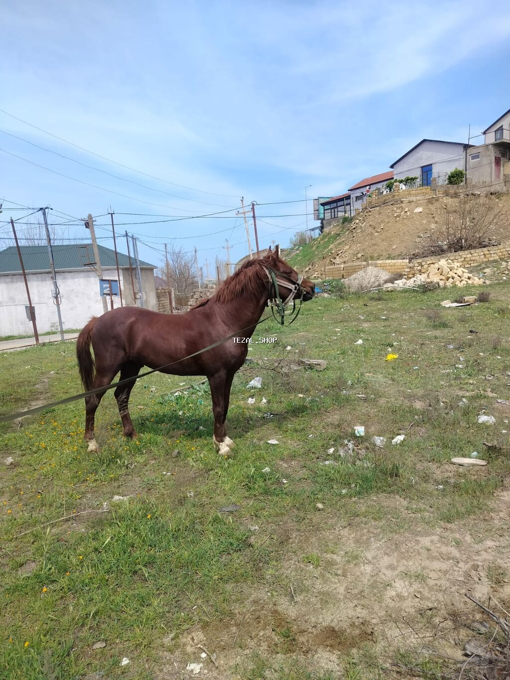 Erkək, Qarabag, il: 5, Ünvandan götürmə