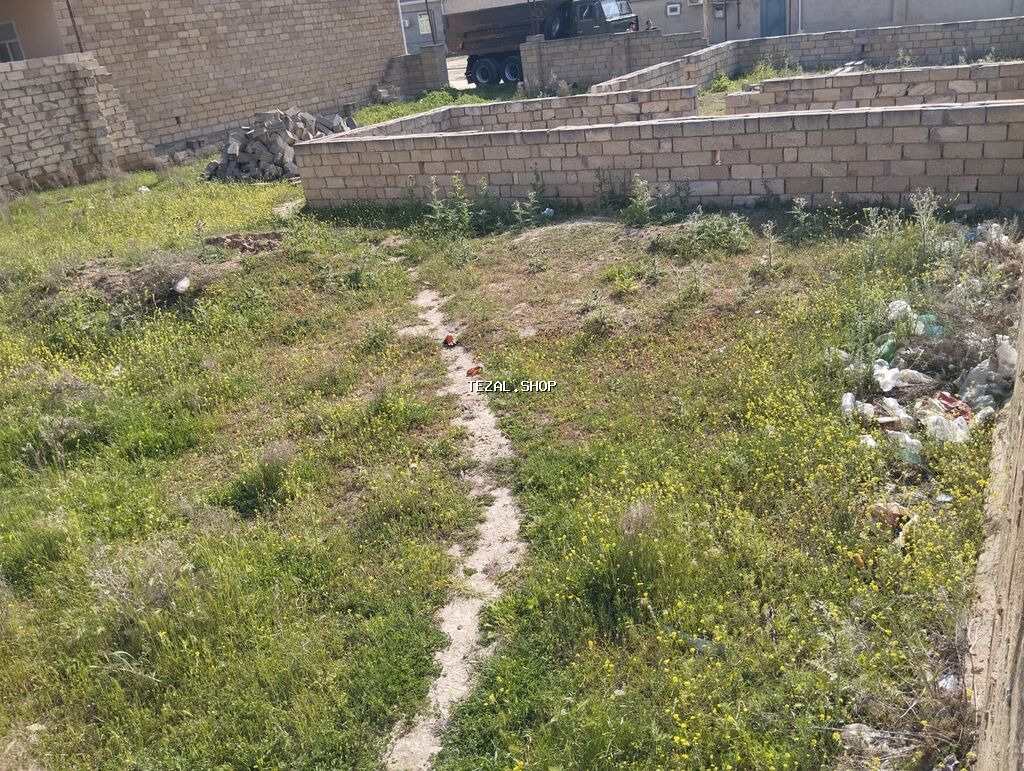 5 sot, Tikinti - şəkil 3