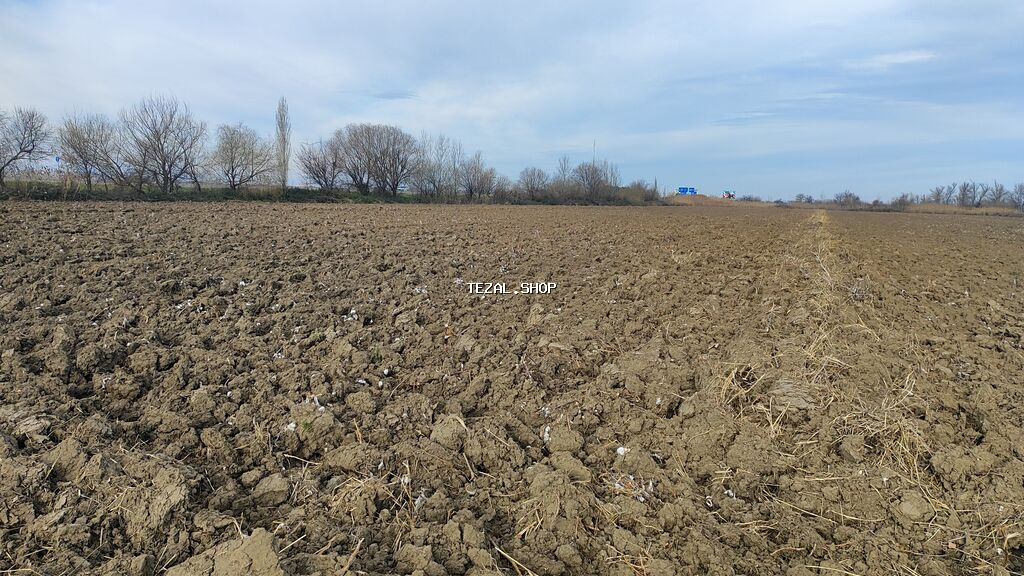 Kənd təsərrüfatı