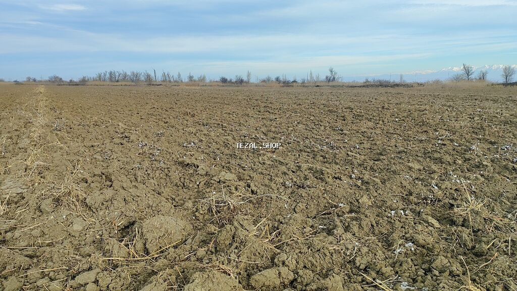 Kənd təsərrüfatı - şəkil 2