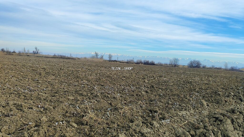 Kənd təsərrüfatı - şəkil 3