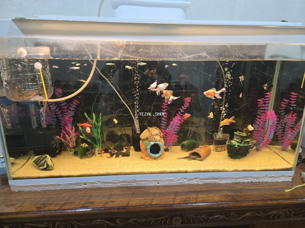 Uzunlugu 118, eni 36 hundurluyu 60 akvarium satilir baliqsiz