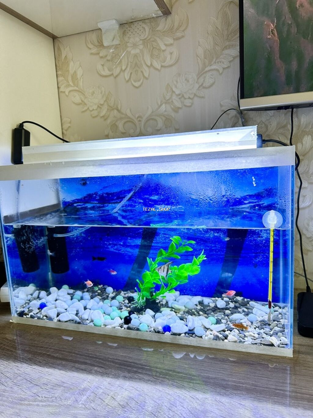 12 cure baliq var icinde.herbirwey var Akvaryuma aid.dest olaraq - şəkil 3