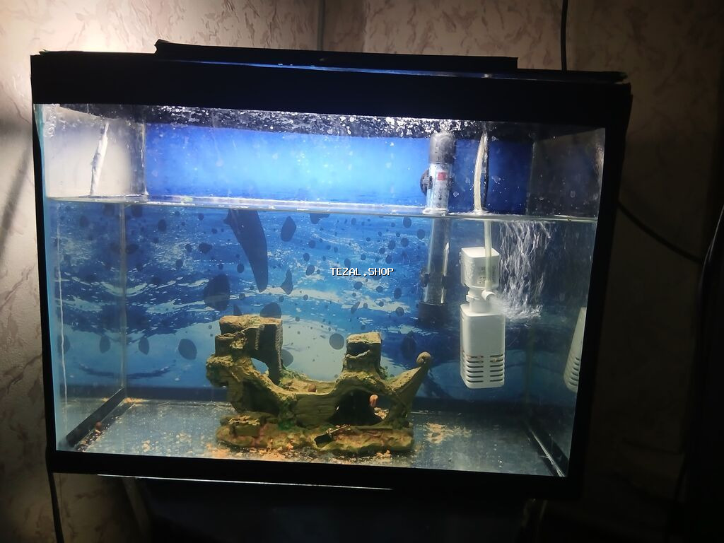 Ciziqsiz,siniqsiz akcarum uzunluqu 40 sm,hundurluk 30sm,eni 20 sm,arxa - şəkil 2