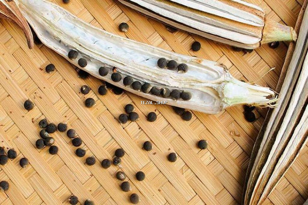 ORIGINAL Bamiyə toxumu, 100 qram-10 AZN, təzə məhsuldur, diz və digər