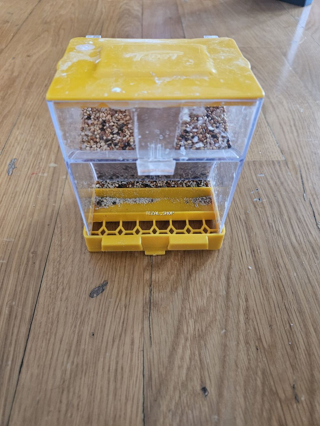 Bala verməyə hazırlaşan muhabbət quşları. Sağlamdırlar və aktiv - şəkil 4