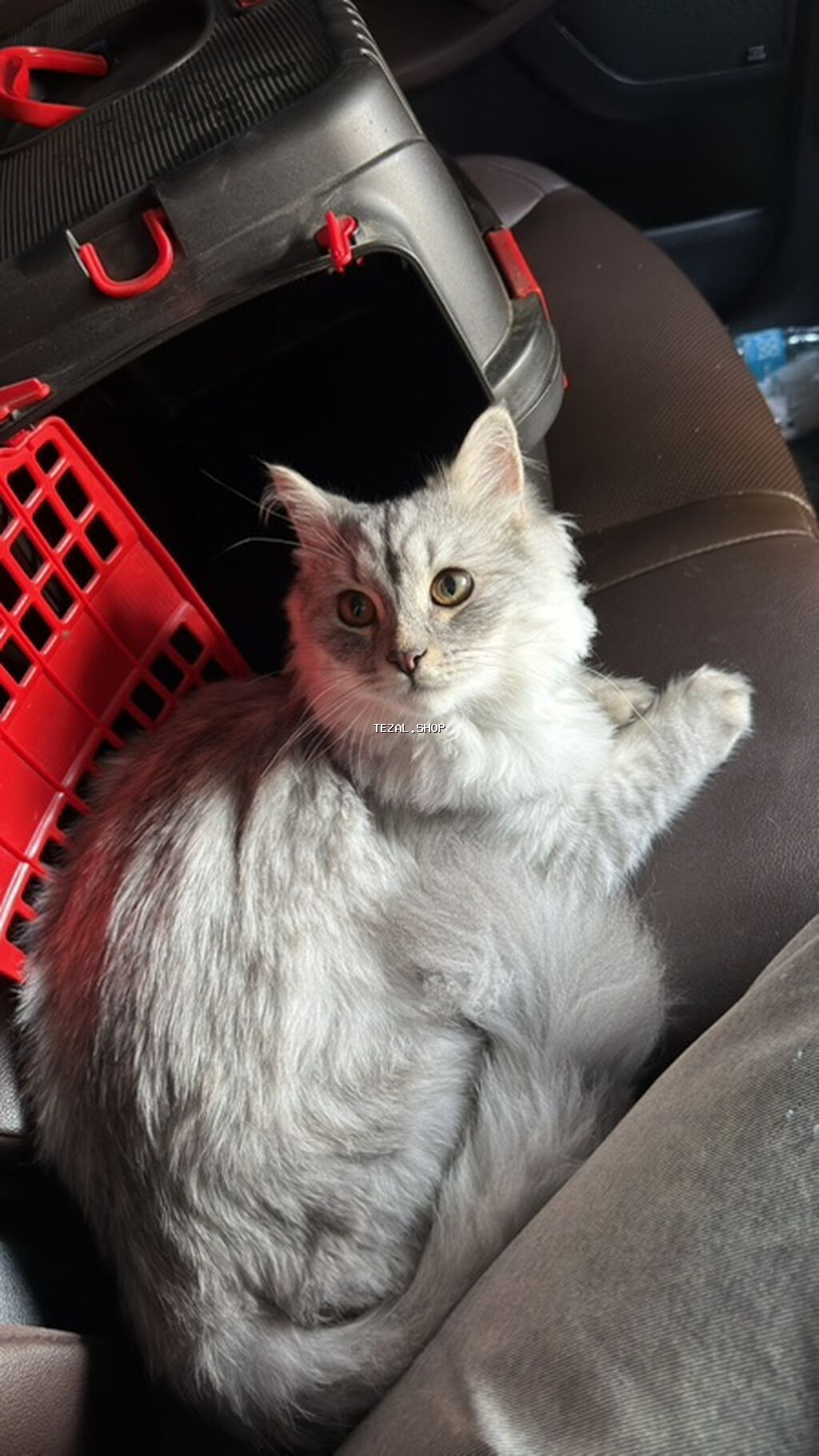 Erkək, Yaxşı əllərə, Ünvandan götürmə, Pulsuz çatdırılma