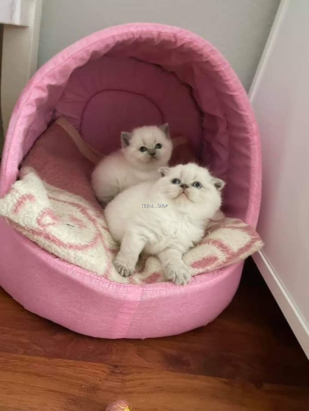 Yaxşı əllərə, Ödənişli çatdırılma