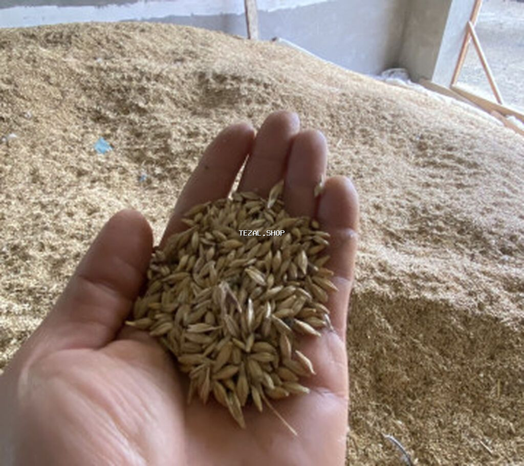 Arpa var temiz 40 qepik