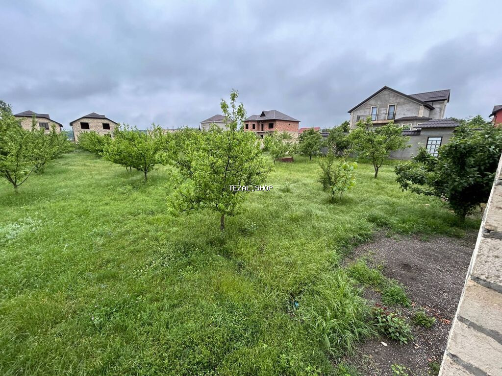 5 sot, Tikinti, Barter mümkündür, Kupça (Çıxarış)