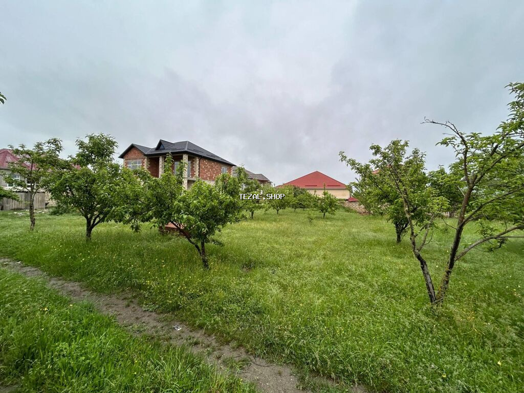 5 sot, Tikinti, Barter mümkündür, Kupça (Çıxarış) - şəkil 3