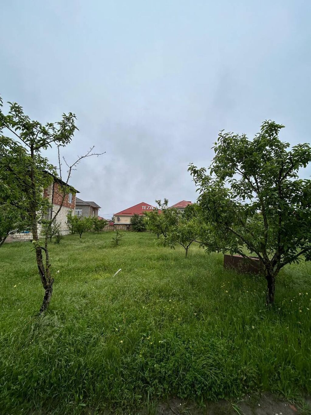 5 sot, Tikinti, Barter mümkündür, Kupça (Çıxarış) - şəkil 4