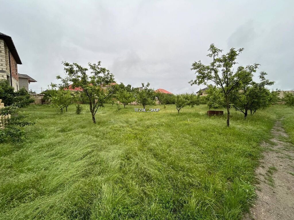 5 sot, Tikinti, Barter mümkündür, Kupça (Çıxarış) - şəkil 5