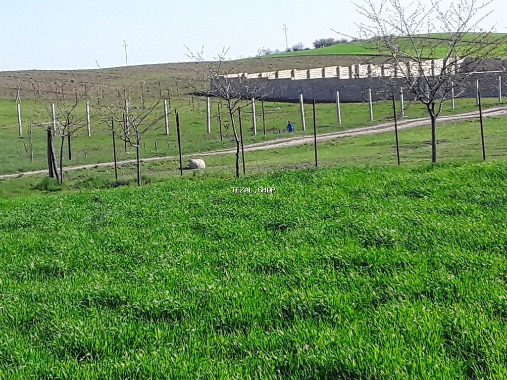 12 sot, Tikinti, Maklerlər narahat etməsin, Kupça (Çıxarış)