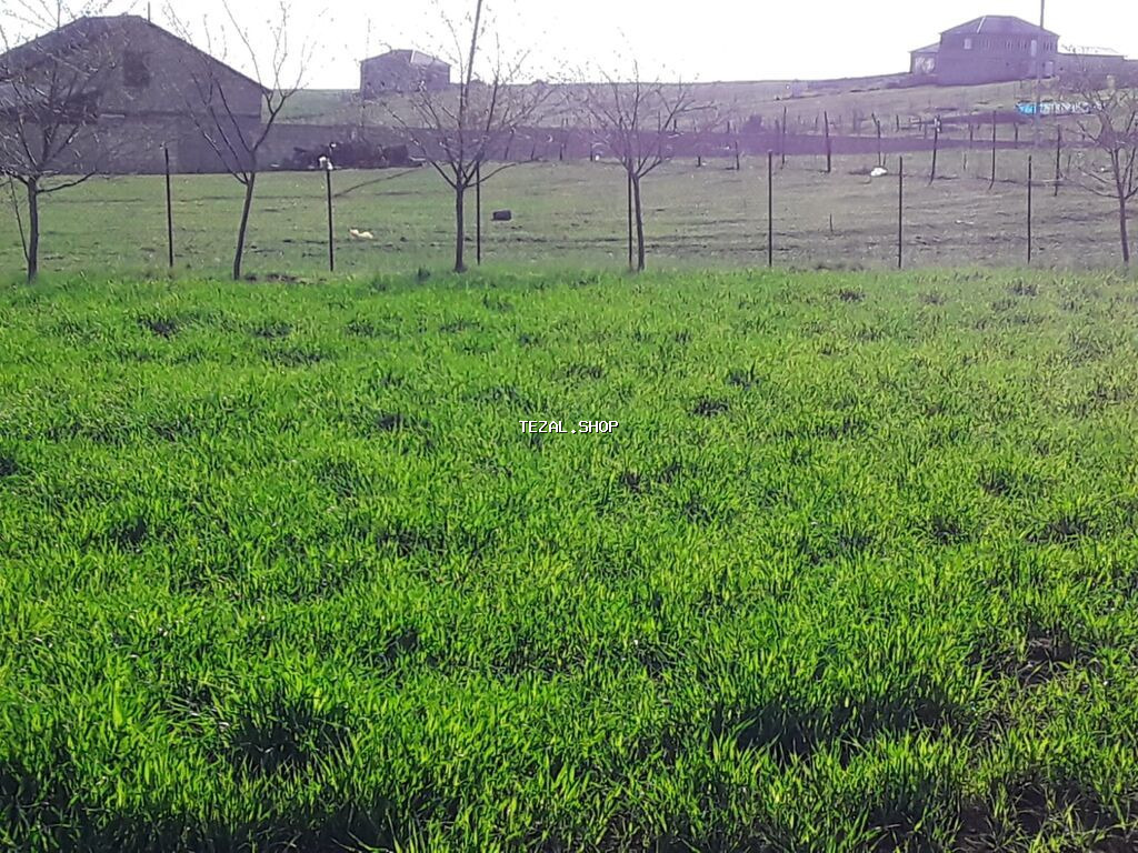 12 sot, Tikinti, Maklerlər narahat etməsin, Kupça (Çıxarış) - şəkil 2