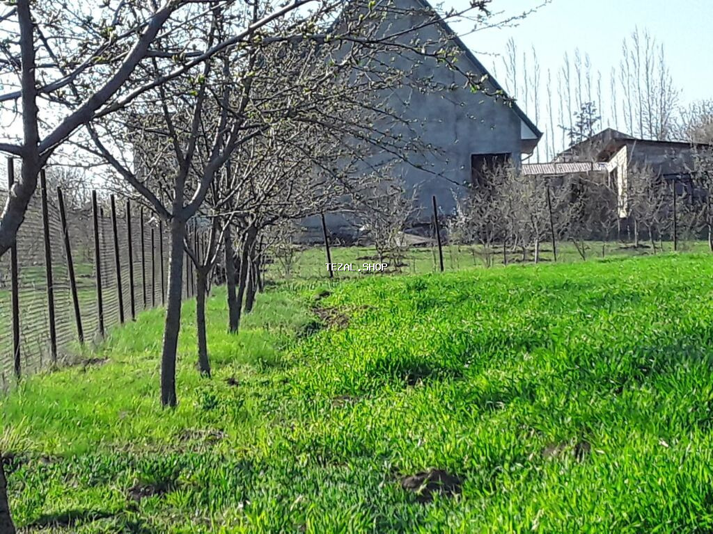 12 sot, Tikinti, Maklerlər narahat etməsin, Kupça (Çıxarış) - şəkil 4