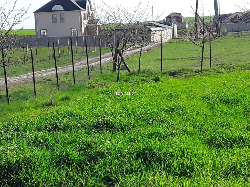 12 sot, Tikinti, Maklerlər narahat etməsin, Kupça (Çıxarış) - şəkil 5