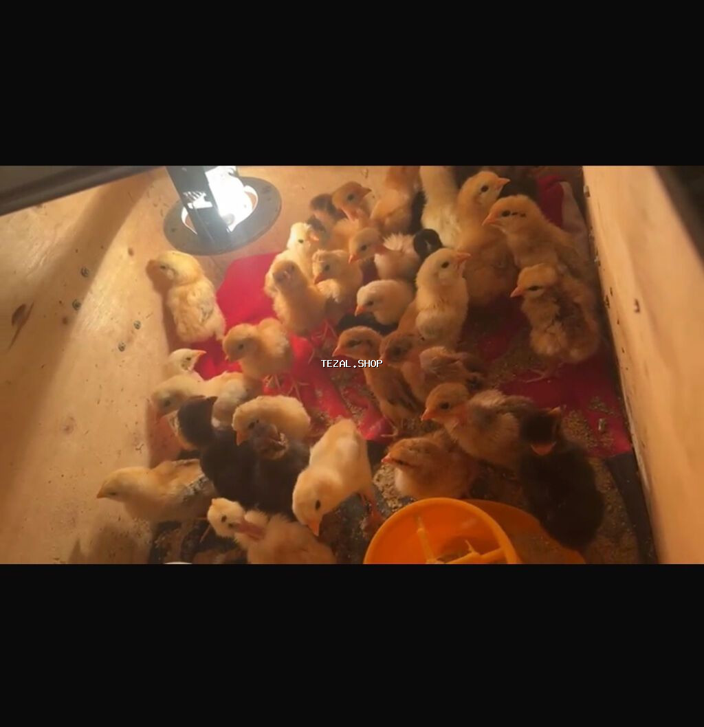 2 ayın aparatıdı 3 mərtəbədi tutum 196 dənəli hec bir pırablemi yoxdu - şəkil 2