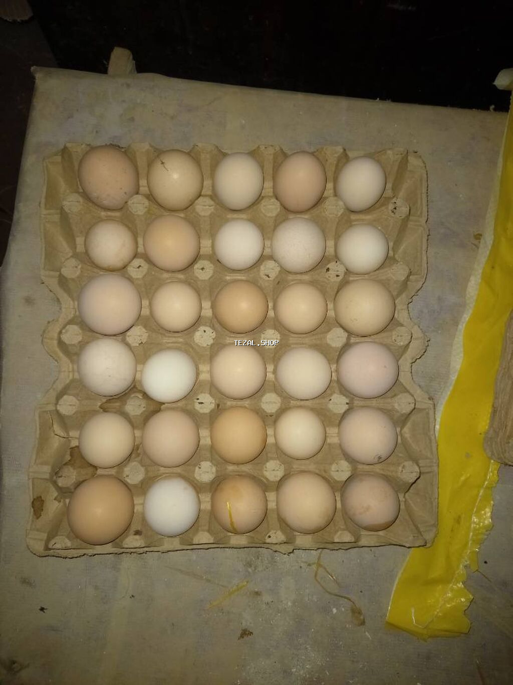 Toyuq, Australorp, Damazlıq, Ünvandan götürmə, Ödənişli çatdırılma, Rayonlara çatdırılma - şəkil 4