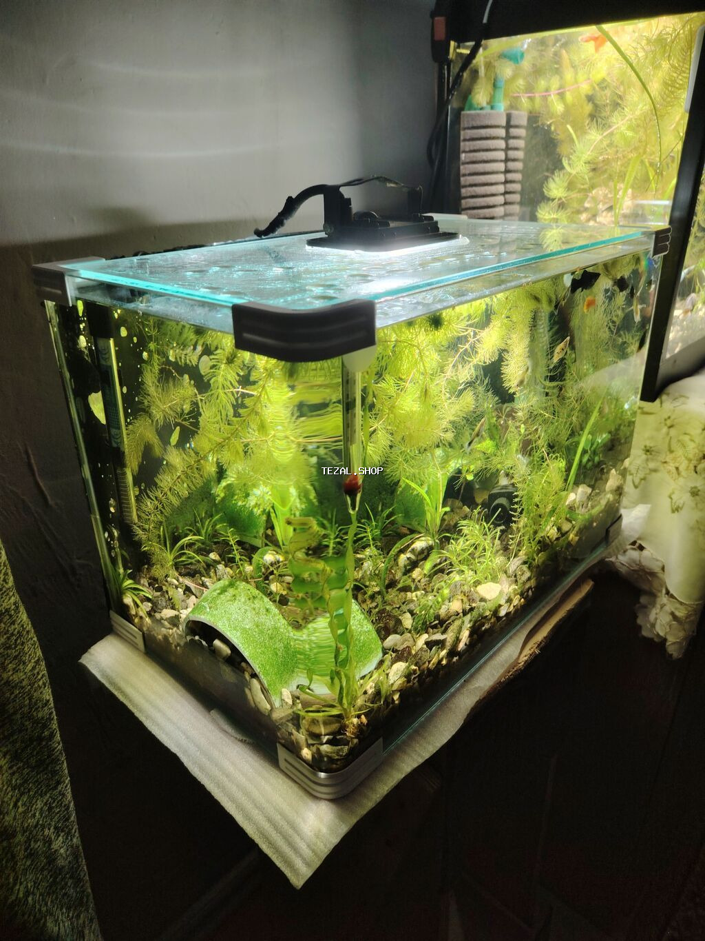 2akvaryum satilir zavod akvadi 2side filtiri qizdirici baligi red - şəkil 2