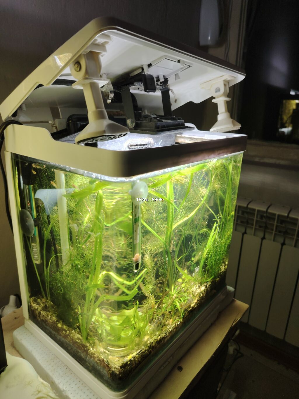 2akvaryum satilir zavod akvadi 2side filtiri qizdirici baligi red - şəkil 4