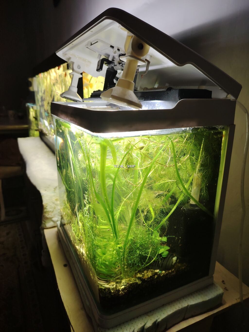 2akvaryum satilir zavod akvadi 2side filtiri qizdirici baligi red - şəkil 5