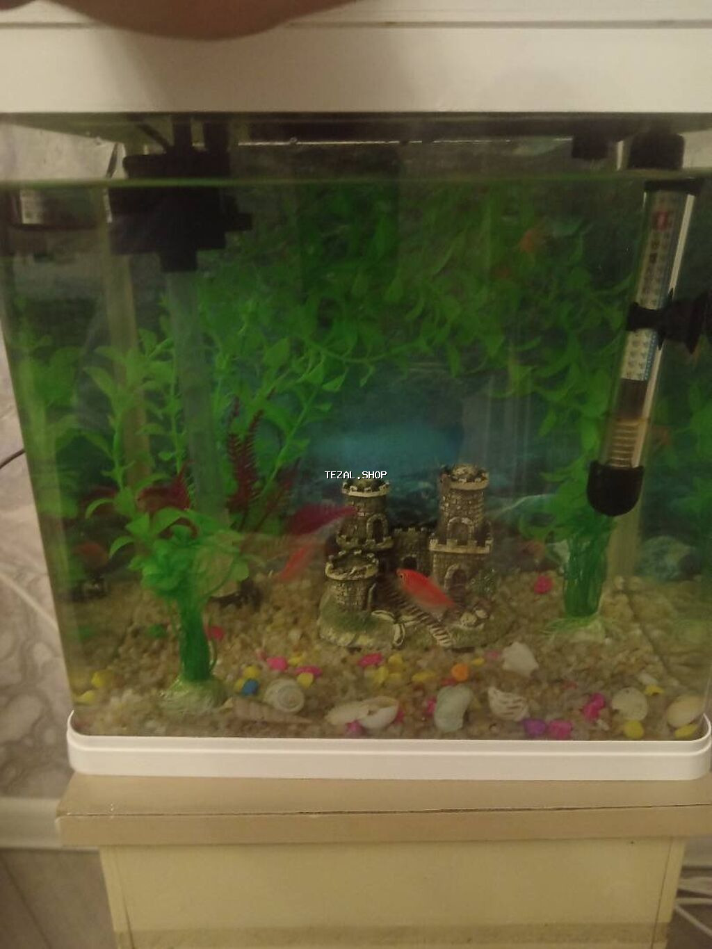 Balıqlarla birlikdə, 15 l, Ünvandan götürmə