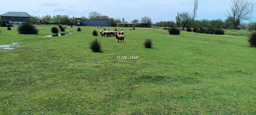 Bakı, 150 kv. m, 10 otaq, Hovuzsuz, Qaz, İşıq, Su - şəkil 5