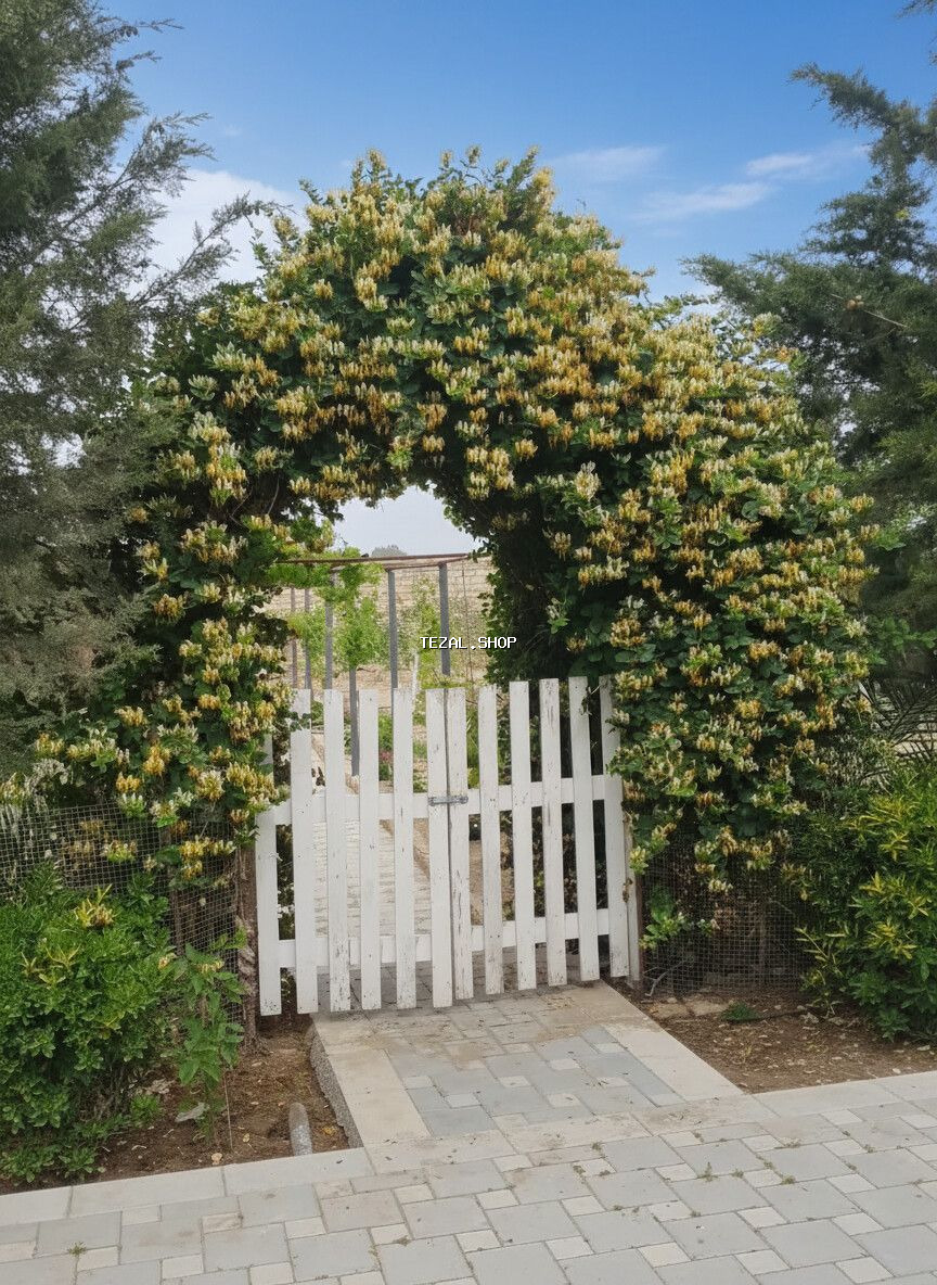 Bakı, Nardaran qəs., 82 kv. m, 3 otaqlı, İnternet