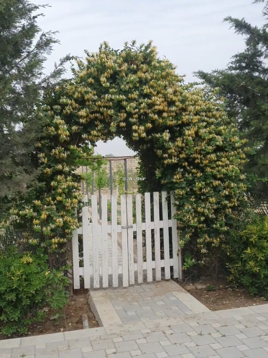 Bakı, Nardaran qəs., 82 kv. m, 3 otaqlı, İnternet - şəkil 2