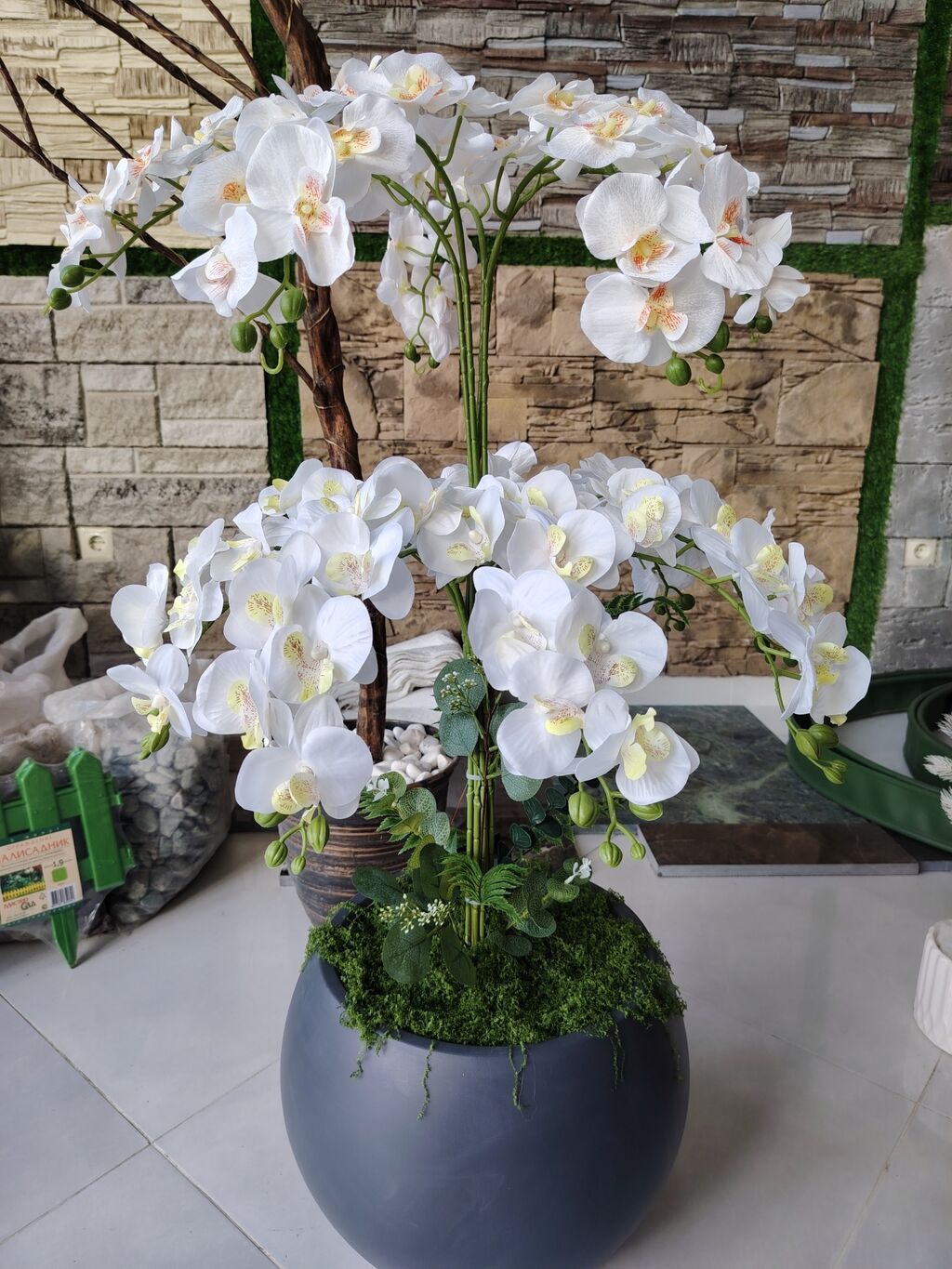 Dekorativ orkide kompozisiyası – böyük ölçülü - Tərkib: ağ falenopsis