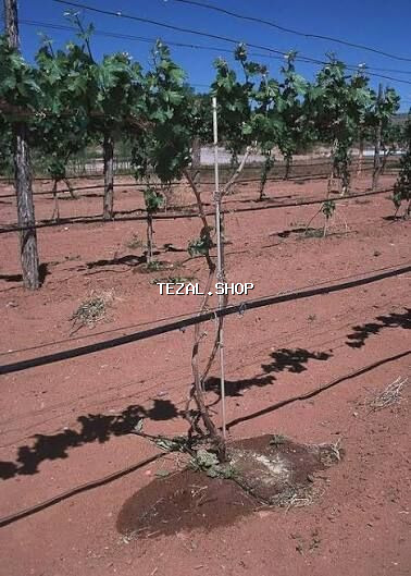 Avtomatik Suvarma Sistemləri – çəmənlik, bağ və əkin sahələri üçün - şəkil 4