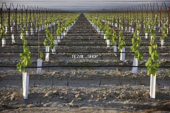 Avtomatik Suvarma Sistemləri – çəmənlik, bağ və əkin sahələri üçün - şəkil 5