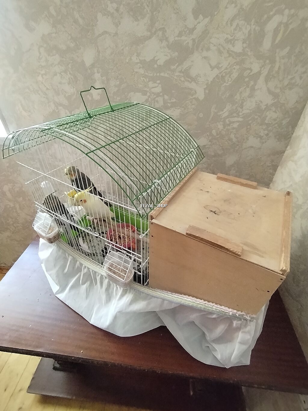 Tutu quşu 3 ədəd 2 ərkəy 1 dişi 2 ədəd yumurtası var vitamin dərmanı