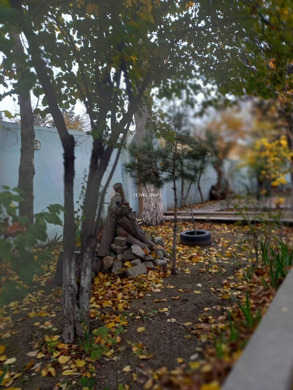 Tecili Heyder Eliyev prospektinde Wefa stadiondan uzu Korogluya esas