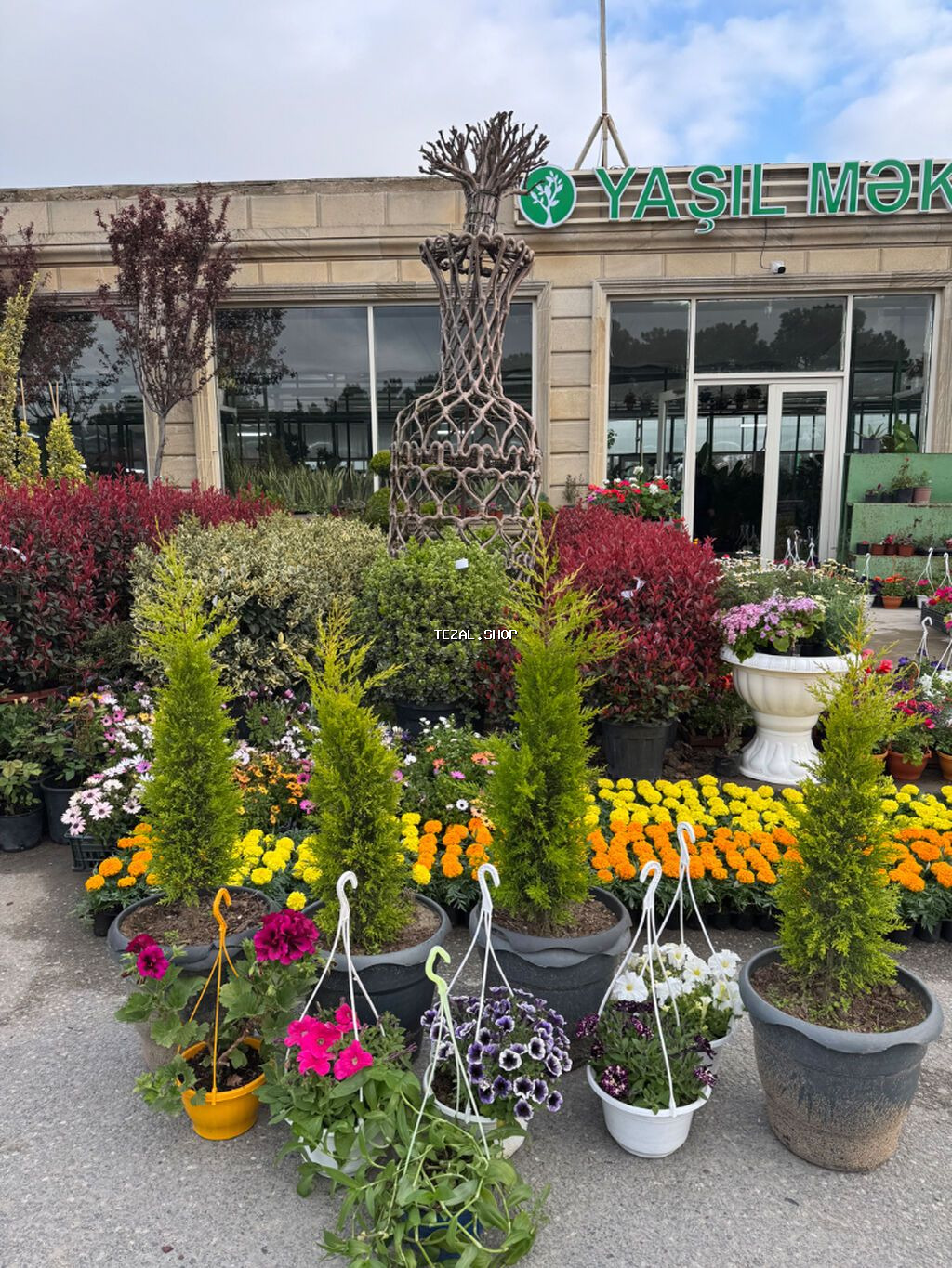 VAKANSİYA: Yaşıllıq üzrə işçi (Bağban köməkçisi) İşin təsviri: •