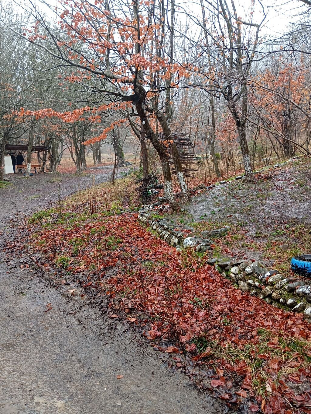 Masalli rayonu. İsti su istirahet merkezine yaxin. Turan restoranina