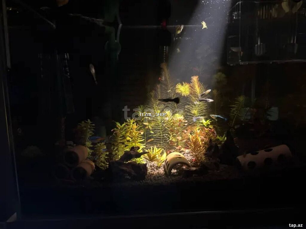 Akvarium işığı satıram. Məndə şüşə qalın oduğu üçün uyğun gəlmədi. 8 - şəkil 5