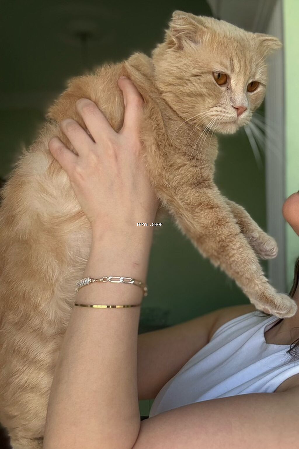 Şotland, Erkək, Yaxşı əllərə, Ünvandan götürmə - şəkil 2