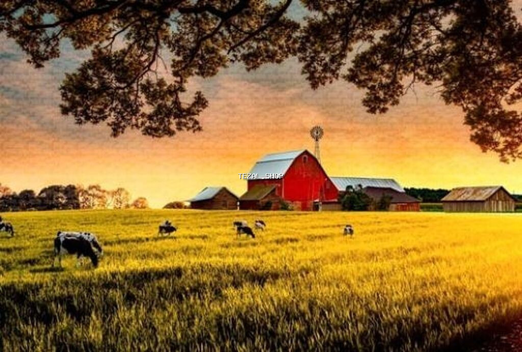 Ferma ve ekin tökün yeri sahesi 400 hektar qiymətdə endirim ola biler