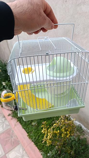 Yeni 2mərtəbəli qəfəs 2xomyak ağ və boz🐭 qəfəsin içində Fırlanan çarxı - şəkil 2