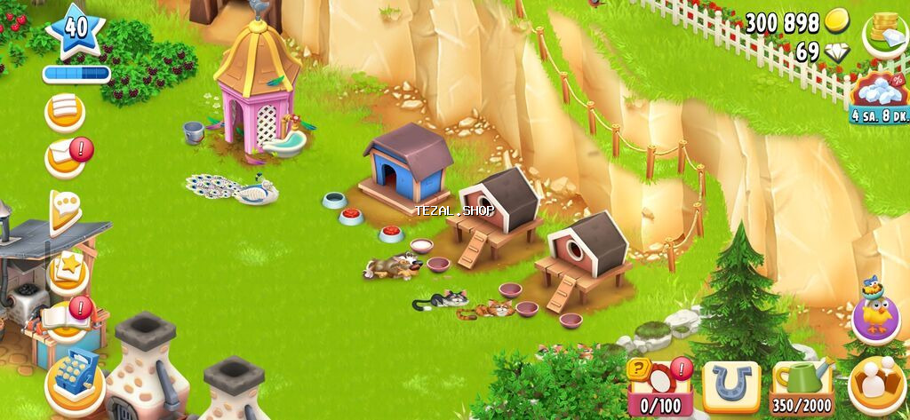 Hay Day oyunu hesabı – inkişaf etmiş ferma Səviyyə: 40 Qızıl - şəkil 3